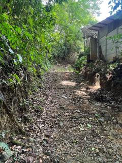 Casa de Descanso la Palma - 2