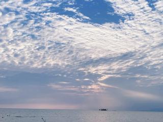 Spring House Grand world - 4