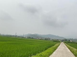 Homestay Chinh Bi - 5