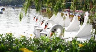 Hotel Veniz - Session - 3