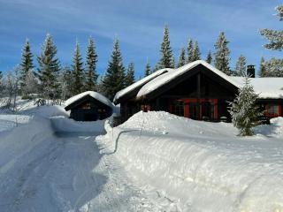 Ski-Inski-Out Cabin Near Fageråsen In Trysil - 7