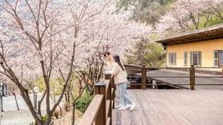 Mungyeong Between Mountains Pet Pension - 8