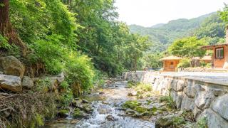 Mungyeong Between Mountains Pet Pension - 5