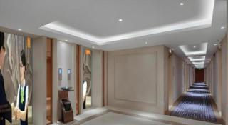 Vienna Hotel Guizhou Hezhang - 8