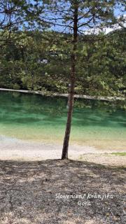 Wasser & Bergwelt Appartement Kärnten - 1