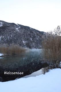 Wasser & Bergwelt Appartement Kärnten - 2