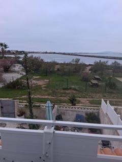 Appartement cosy le flamant rose - 1