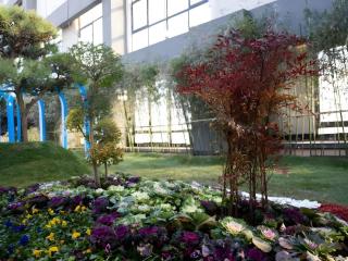 VX Hotel Bozhou High-Speed Railway Station Government Town - 7