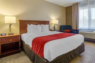 Comfort Inn Kennewick Richland - 6