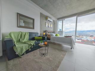 0509 iFreses Hermoso Apartamento con Aire Acondicionado y Parqueo - 0