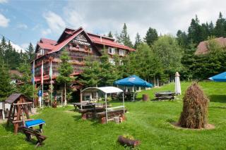 Pension Restaurant Speranta - Predeal - 9