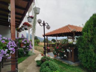 Shoposki Guest House - 6