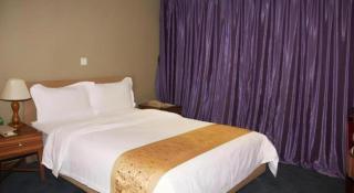 Golden Central Hotel Shenzhen - 3