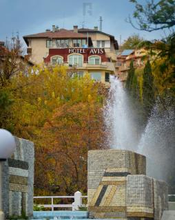 Hotel Avis - Sandanski - 3