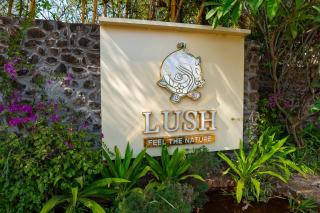 Alaya Stays Timber Pet-friendly Premium Bamboo Cottages - 3