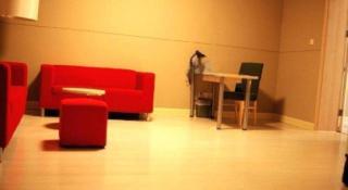 Jinjiang Inn Shanghai Songjiang University Town - 7