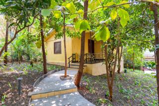 Alaya Stays Timber Pet-friendly Premium Bamboo Cottages - 7