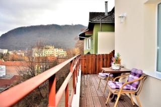 Vila Alba Brasov - Braşov - 1