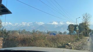 The Cottage Depot - 6