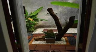 Sucholtee Resort - 2