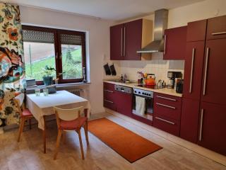 Gemütliche Ferienwohnung mit Blick ins Grüne - 1