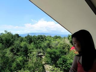 Alexis Cliff Dive Resort - 5