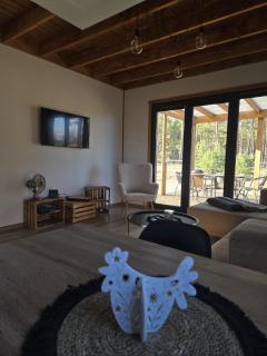 Sworna łąka z zewnętrznym SPA- sauna, jacuzzi, balia - 6