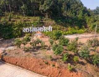 Jhangajholi Village Resort - 9