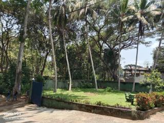 New Olina Gest and Restaurant - 2