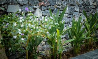 Trang An May Homestay - 8