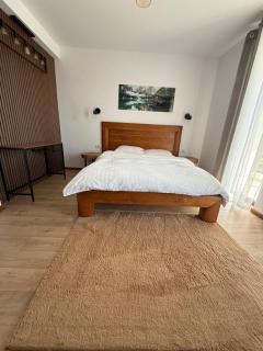 Stone Apartment with sauna Sinaia - 5