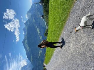 Lakeview Chalet 1 , Drligen - 2