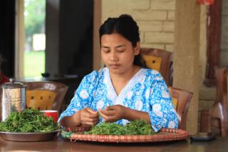 Tharu Community Homestay No 1 - 4