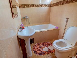 Ngao Apartments One Bedroom,Pool,Mountain View and WiFi Arusha - 8