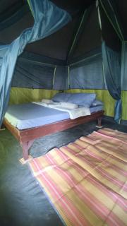 Tony's country glamping chalet with private bathroom - 1