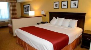 Country Inn & Suites by Radisson, Dundee, MI - 3