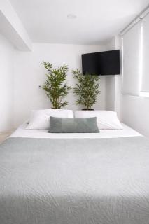 Olive tree studio ,Corfu Town - 8