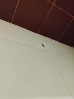 Silver Oaks Hotel - 0