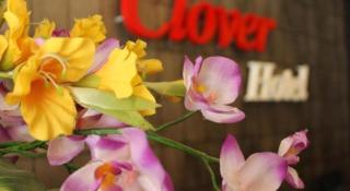 Clover Hotel - 6