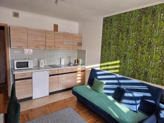 Apartamenty Zielony - 9