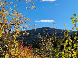 Gemütliches Haus in Panoramalage - 2