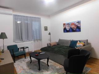 Cetinjska apartment - 0
