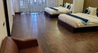 Palette - Silver Leaf - 9