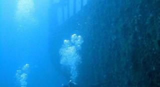 Angelyn's Dive Resort - 2