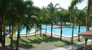 Pineapple Island Resort - 6