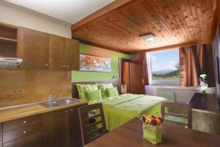 Hotel Tetřeví Boudy - Pec pod Sněžkou - 8