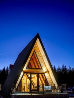 Pine Forrest Uskoci - 0