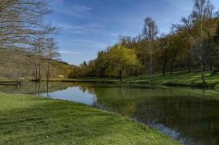 Gites nature - Montagne Bourbonnaise - Arronnes -  - 7