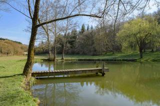 Gites nature - Montagne Bourbonnaise - Arronnes -  - 1