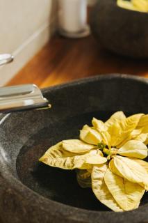 Villa privée - Sauna & Spa - 8